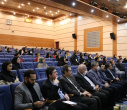 آلبوم تصاویر