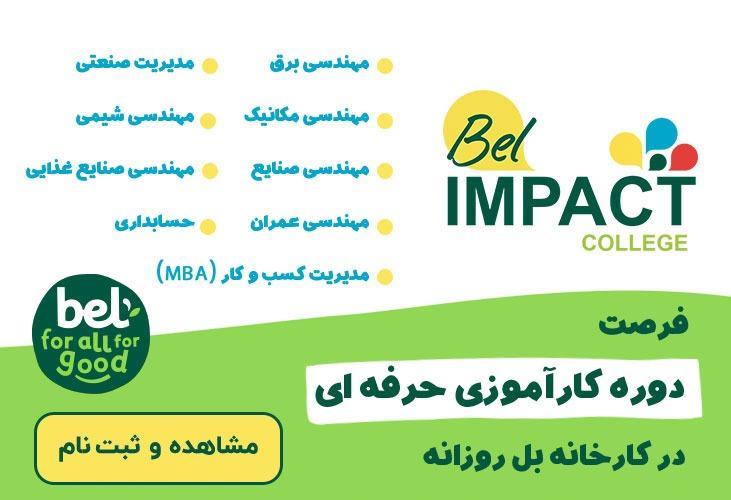 دوره کارآموزی حرفه‌ای برای دانشجویان در شرکت بل‌روزانه