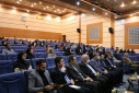 آلبوم تصاویر