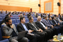 آلبوم تصاویر